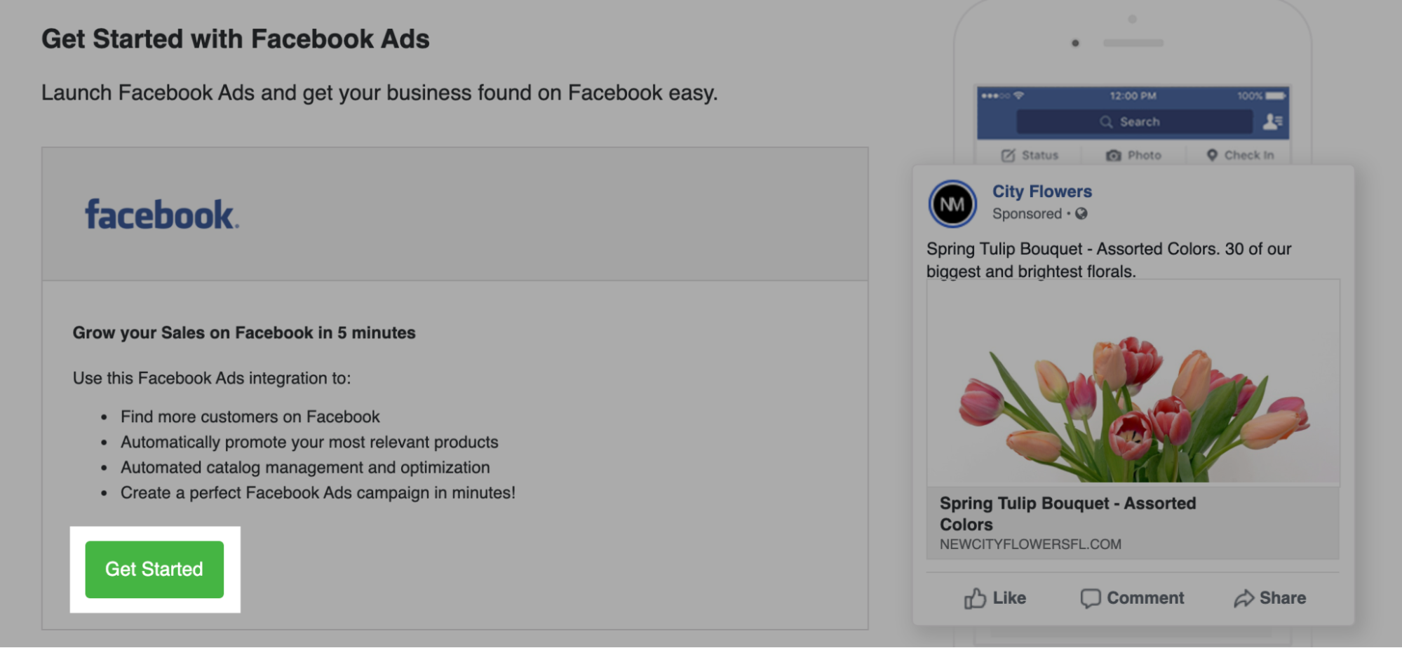 Ads_campaign_on_Facebook__3_.png