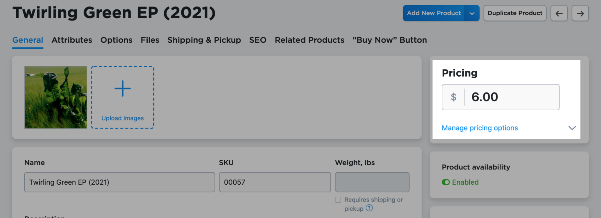 Selling_music_and_merchandise_in_an_artist_shop__11_.png