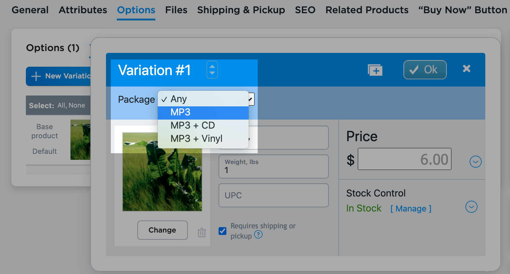 Selling_music_and_merchandise_in_an_artist_shop__7_.png