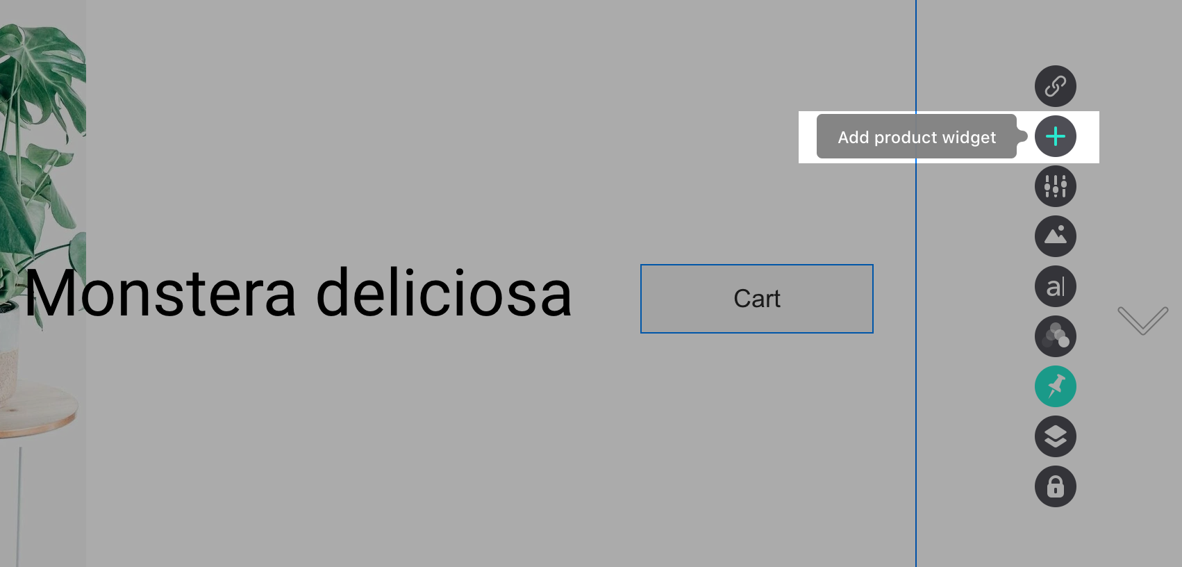 Readymag__5_.png