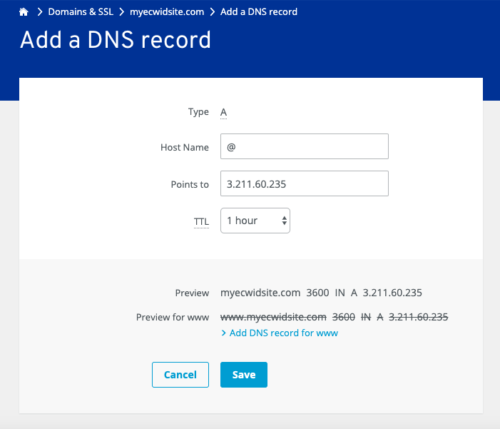 Point domain to Ecwid's IP
