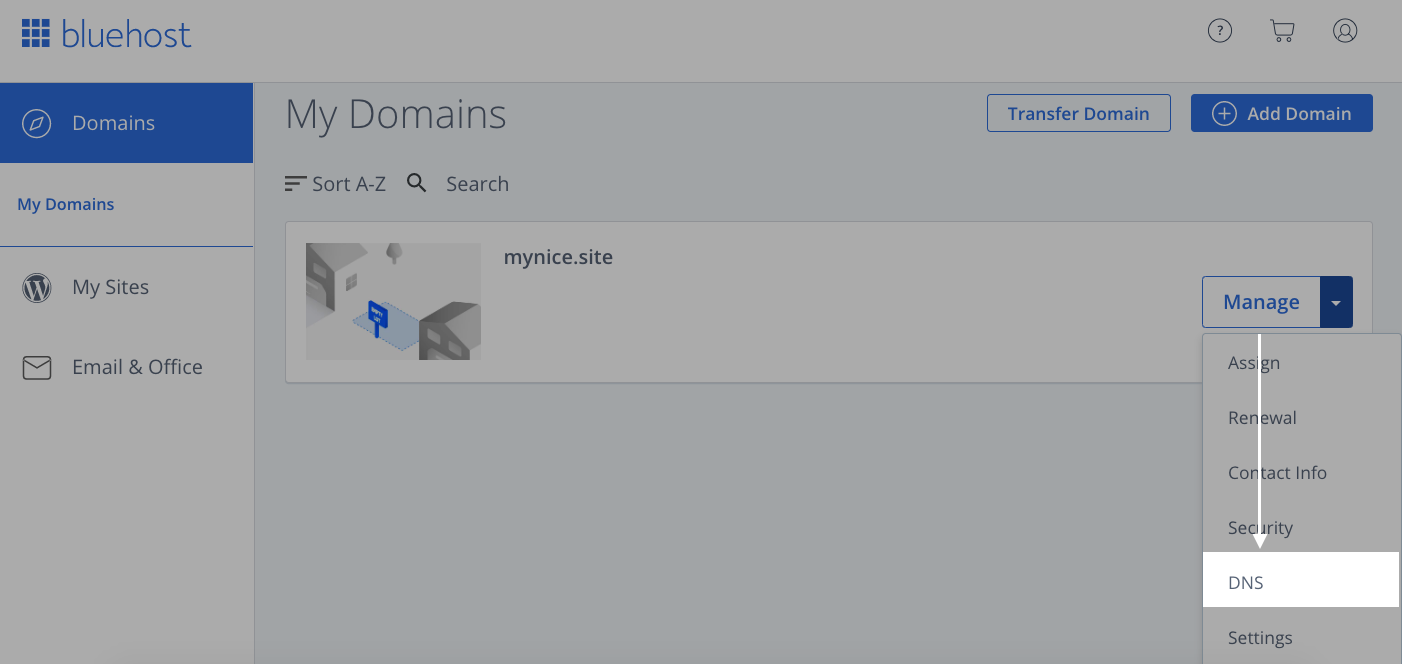 Paramètres DNS dans Bluehost