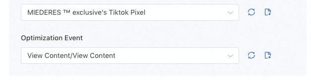 How_to_run_your_first_ad_on_TikTok__2_.png