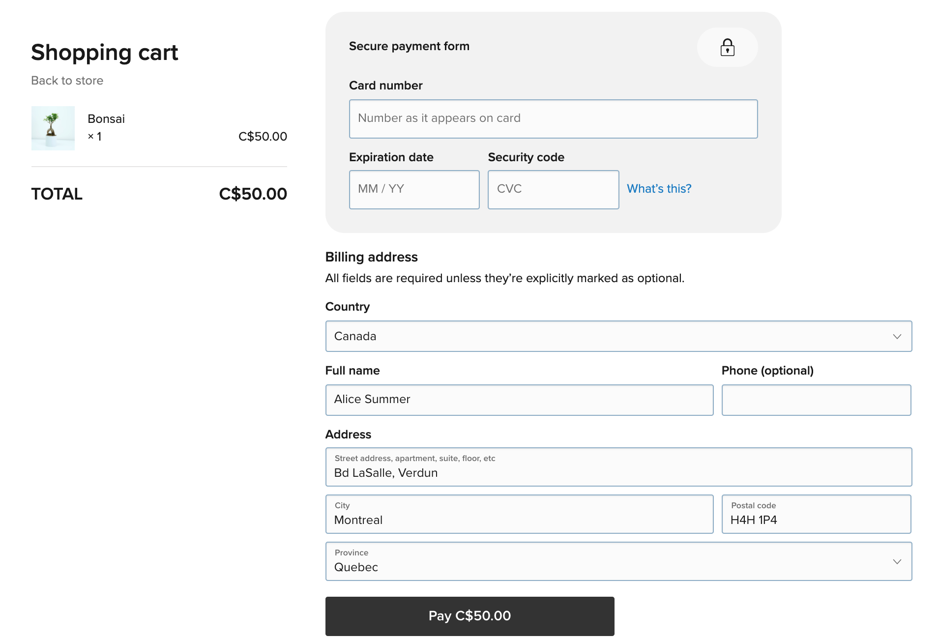 Lightspeed_Payments__2_.png