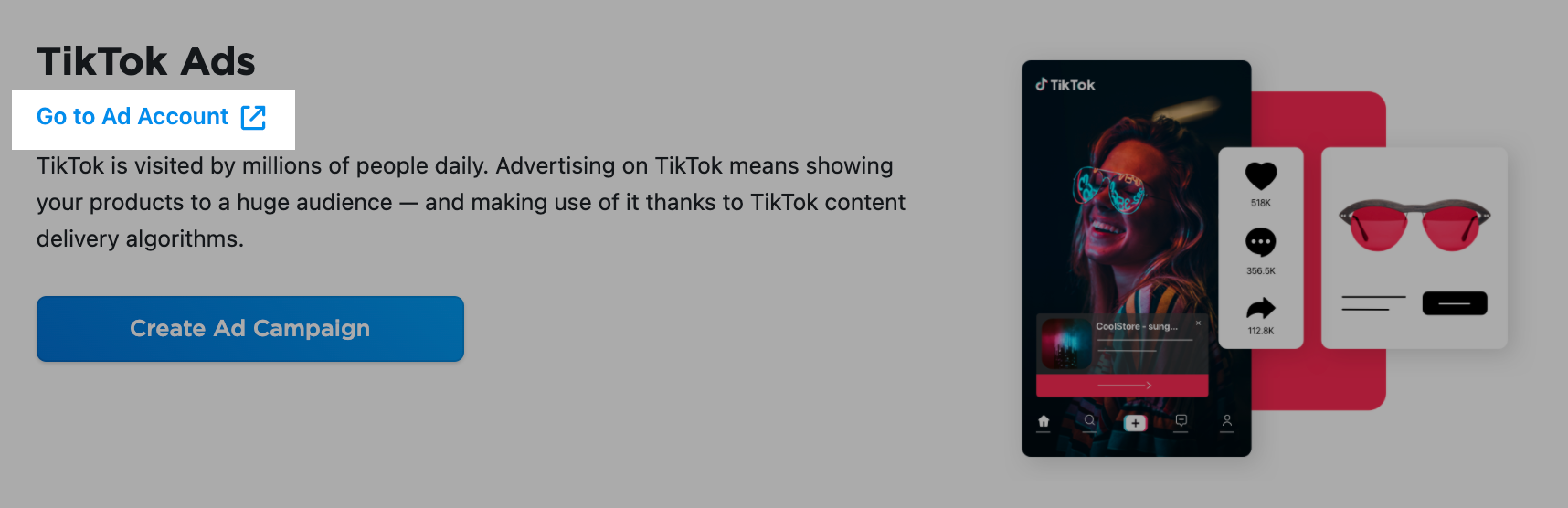 How_to_run_your_first_ad_on_TikTok__3_.png