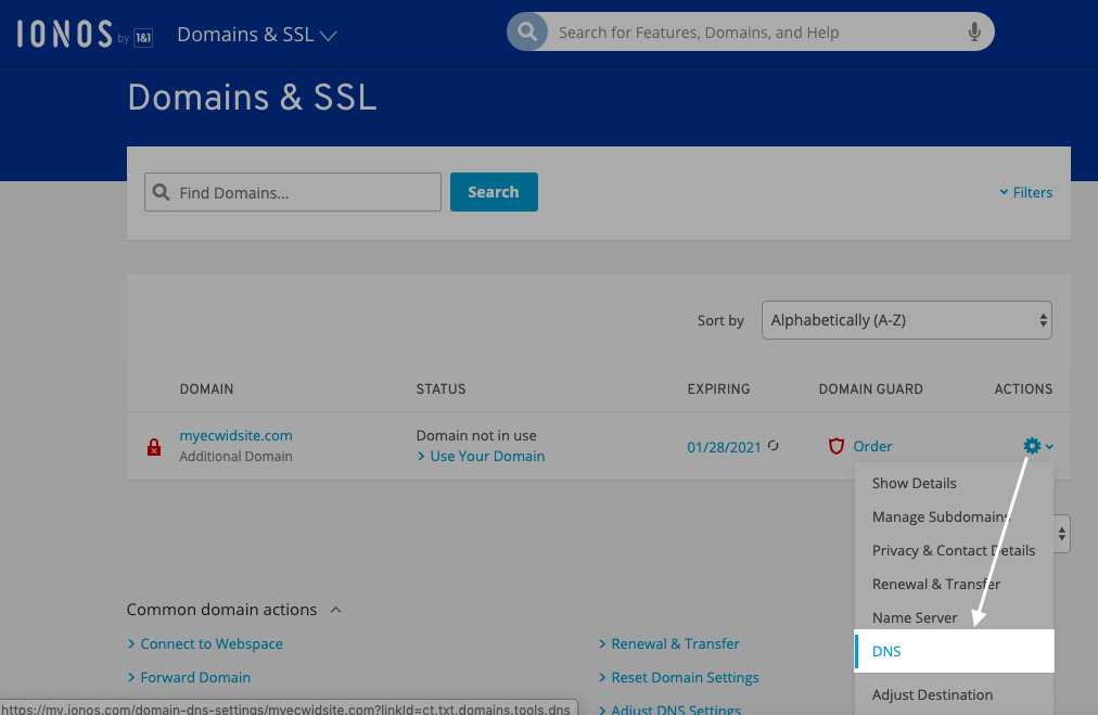Paramètres DNS dans IONOS