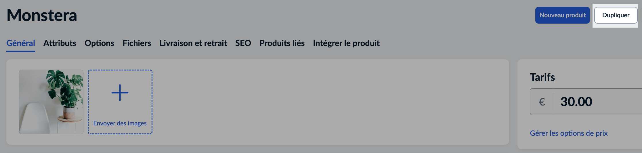 duplicate_product_fr.png