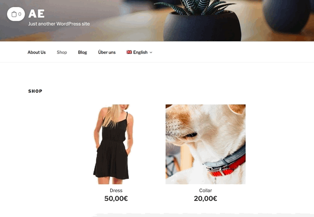 Sélecteur de langue sur le site