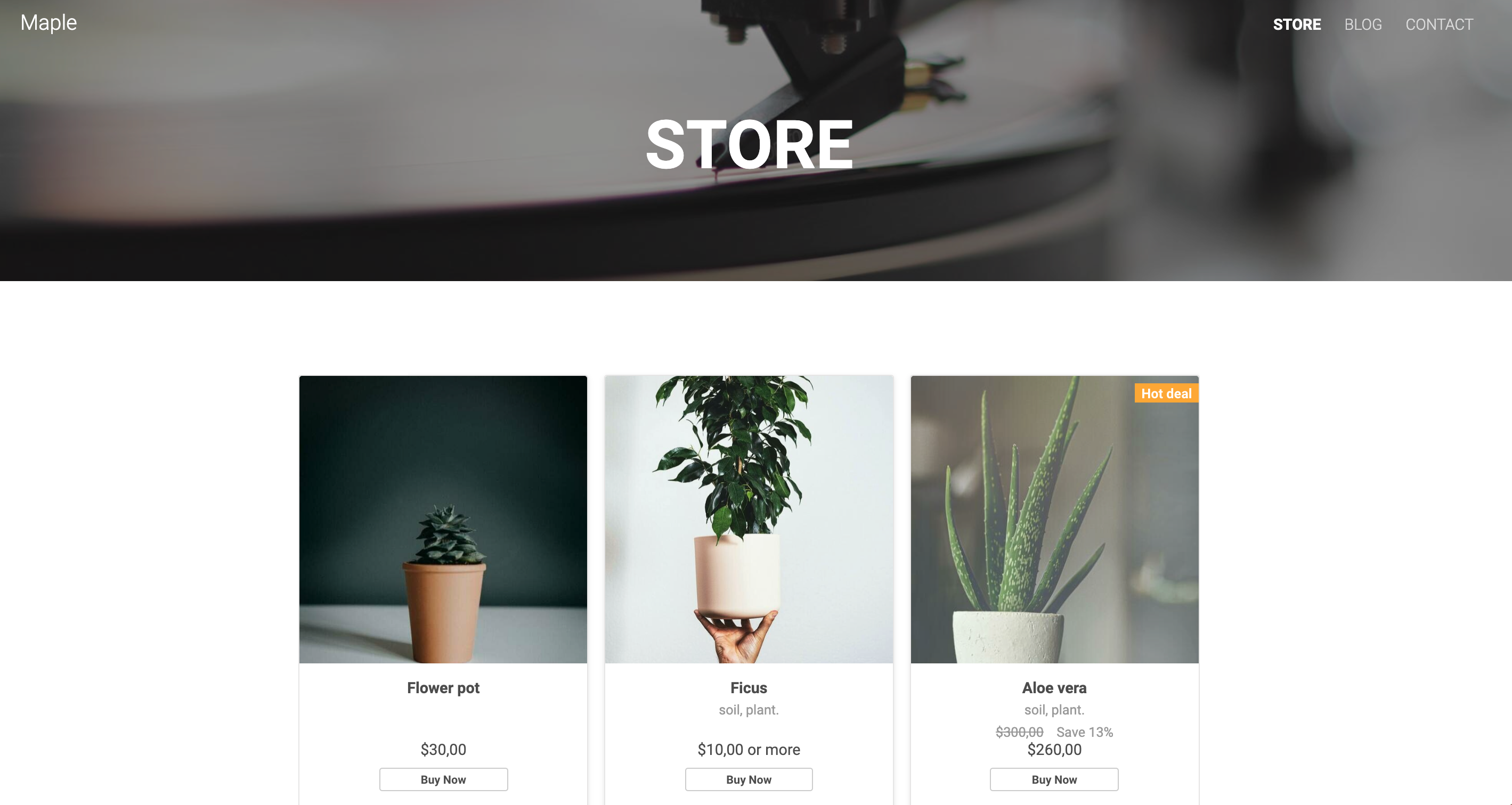 ecwid_store_on_voog.png
