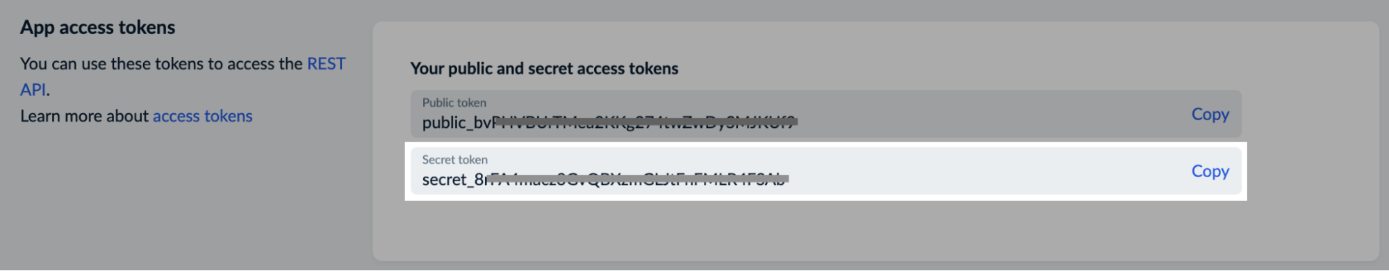 Geheimes Token anzeigen.png