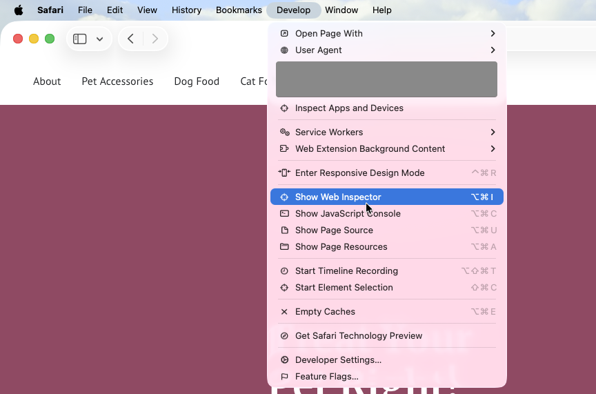 safari Web Inspector.png