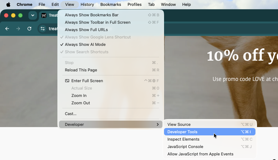 Chrome’s menu bar, select View Developer Developer Tools.png