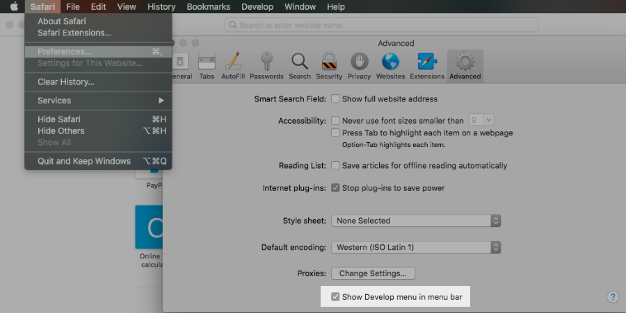 Show Develop menu in Safari