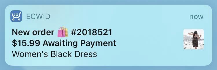 Ecwid mobile app for iOS – Ecwid Help Center