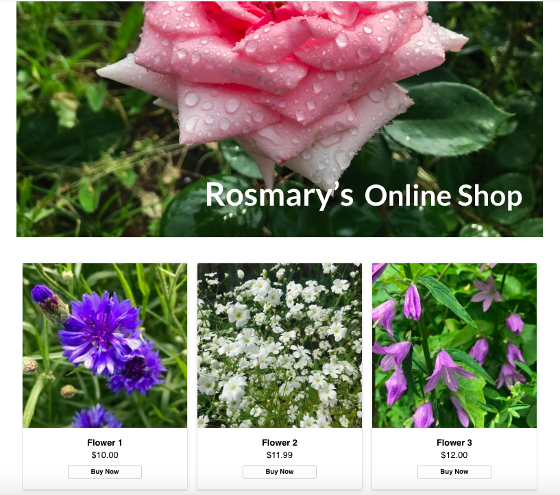 Ecwid store on Sparkle site