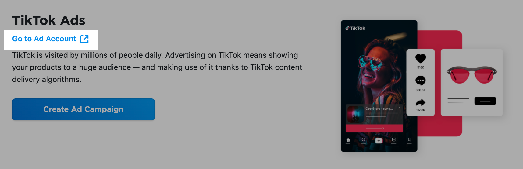 What Are TIKTOK SPARK Ads? And How To Set Them Up! 