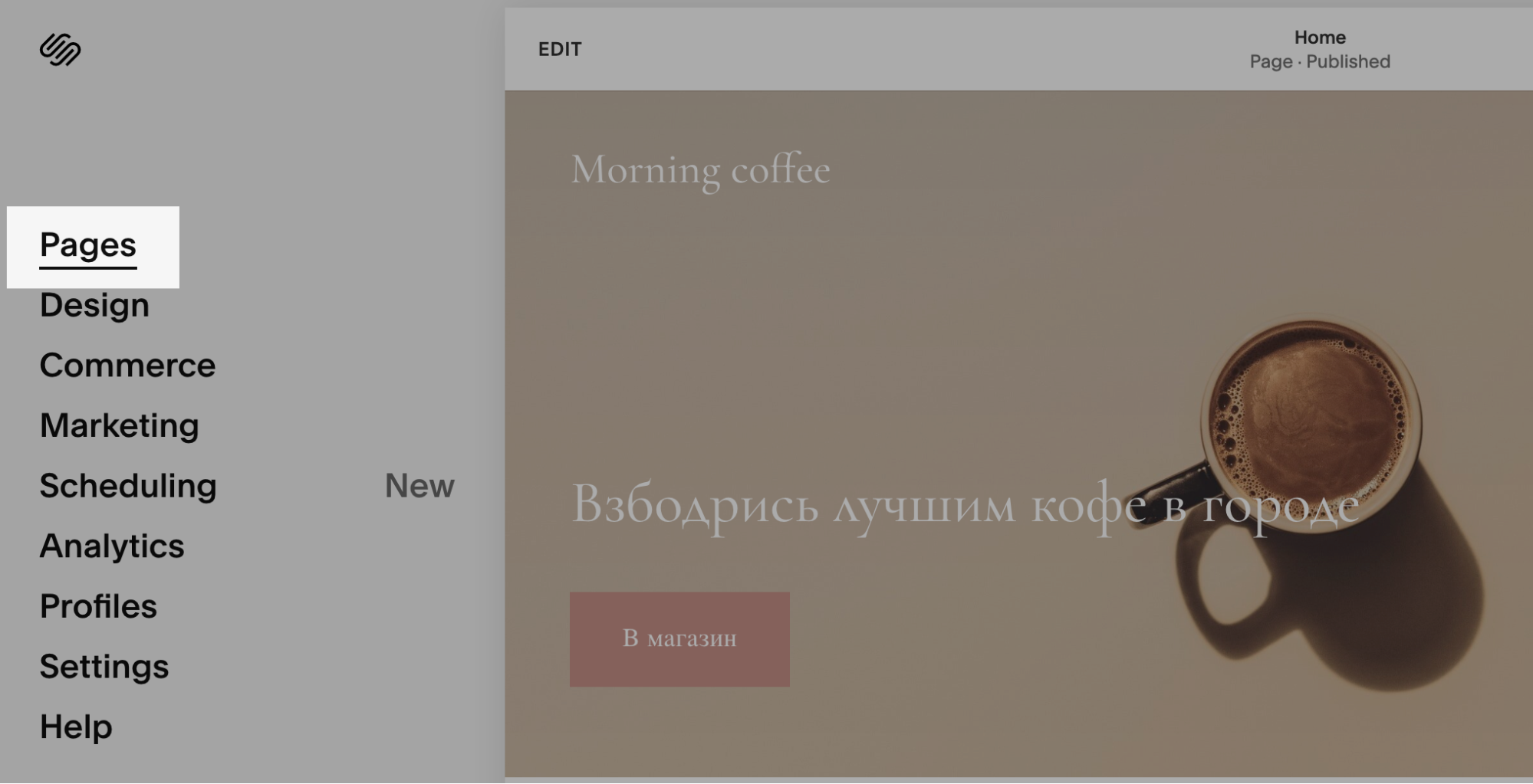 _____-___________Squarespace__4_.png