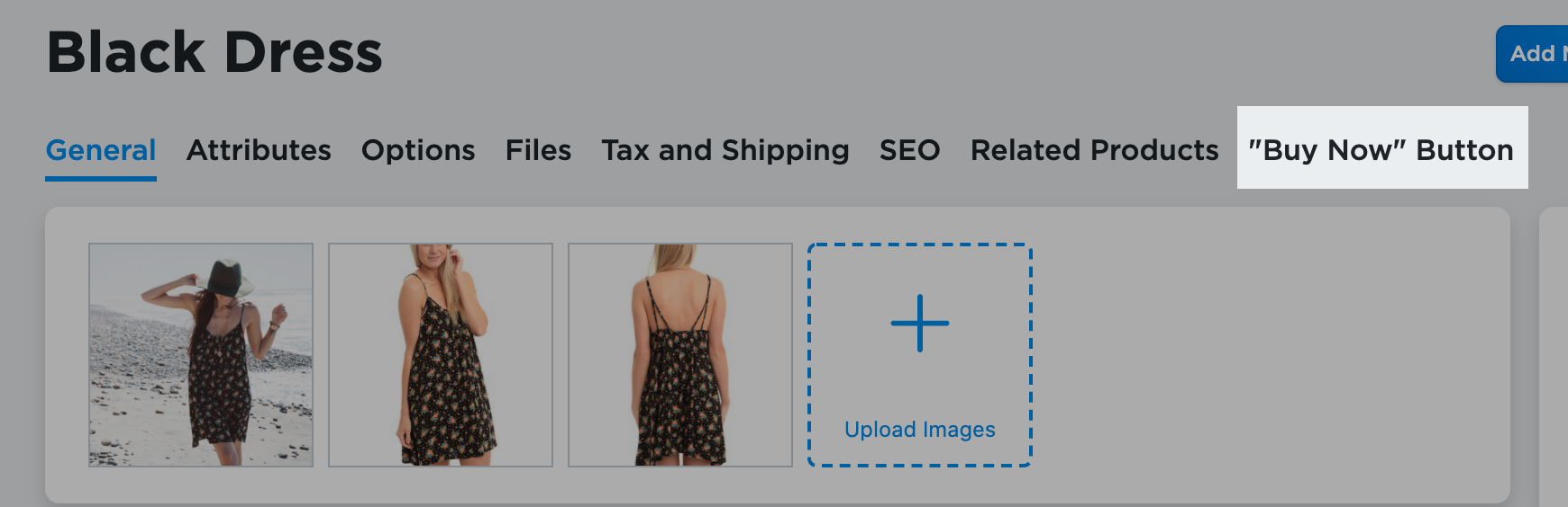 Ways_to_add_Ecwid_to_your_existing_website__short___2_.png