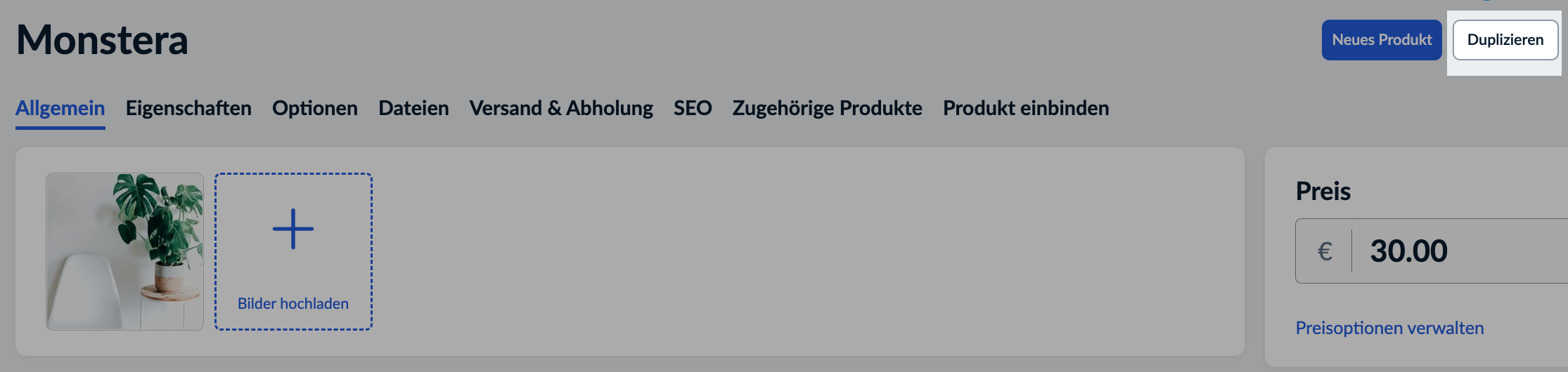 duplicate_product_ge.png