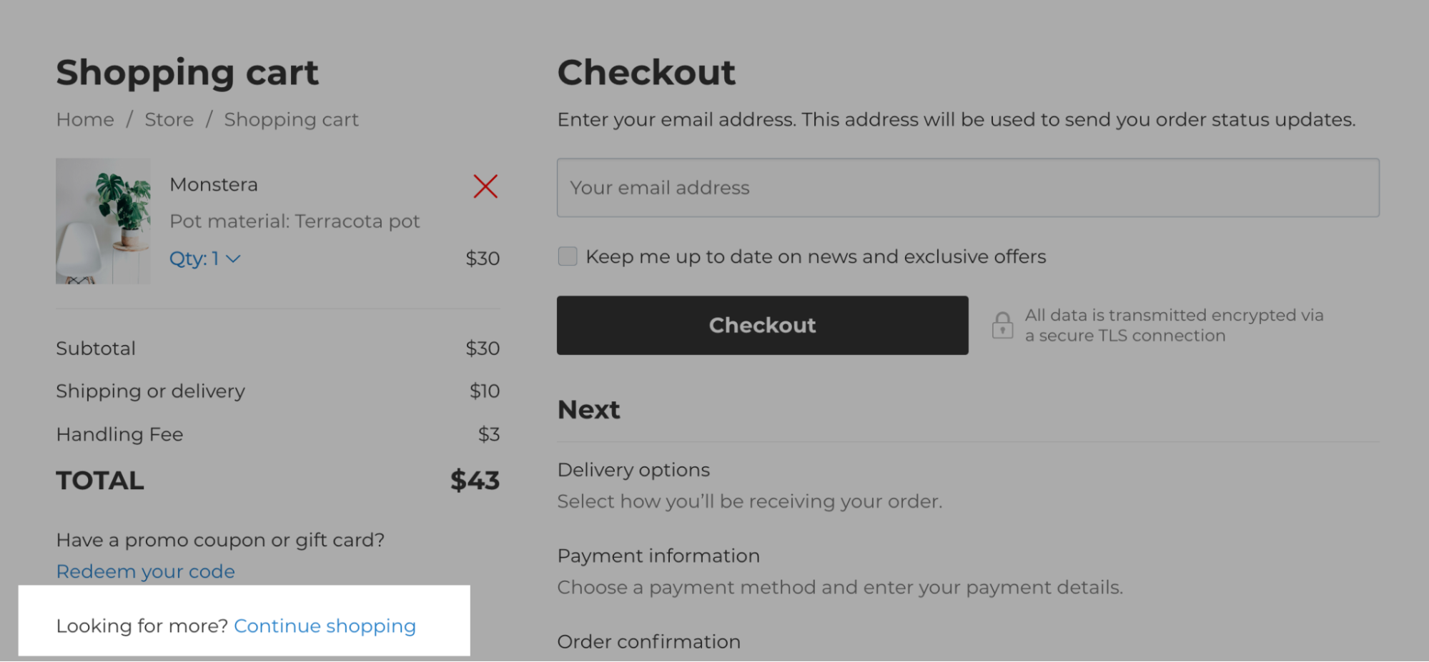 online shopping cart checkout